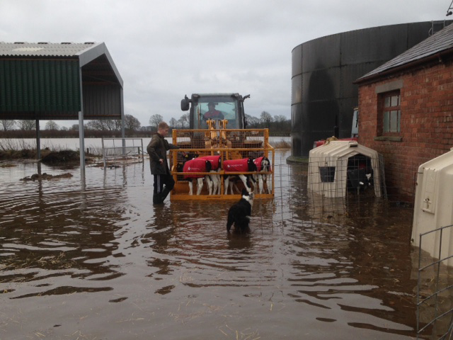 Flood main image